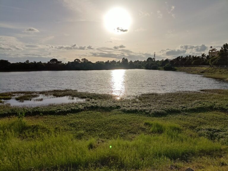 Kattigenahalli Lake, Thanisandra | Prestige Avon blog